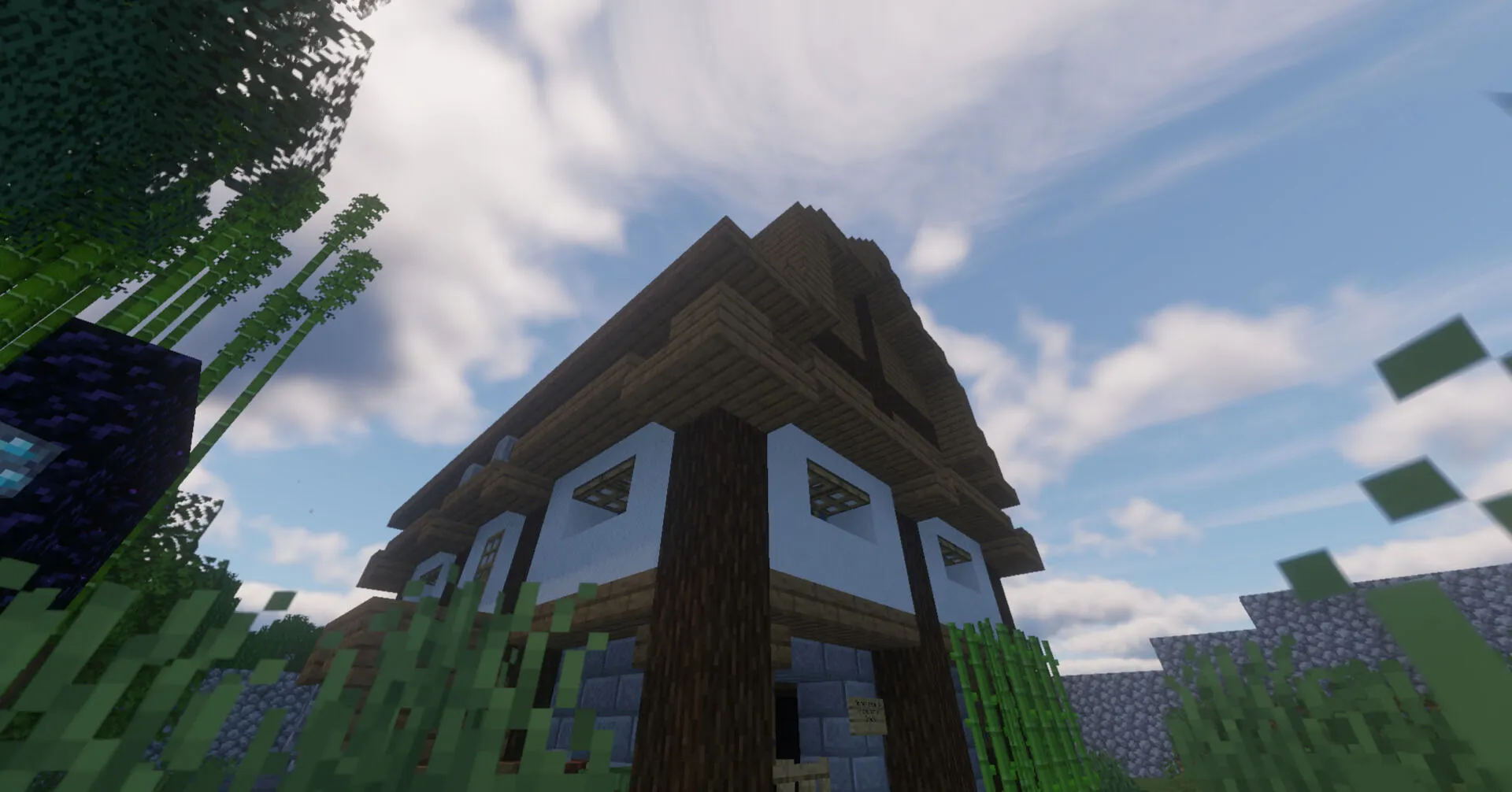 First Screenshot